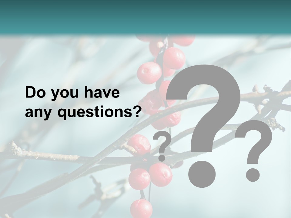 Season Schisandra East PowerPoint Template