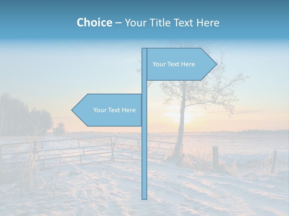 Beauty Dutch Field PowerPoint Template