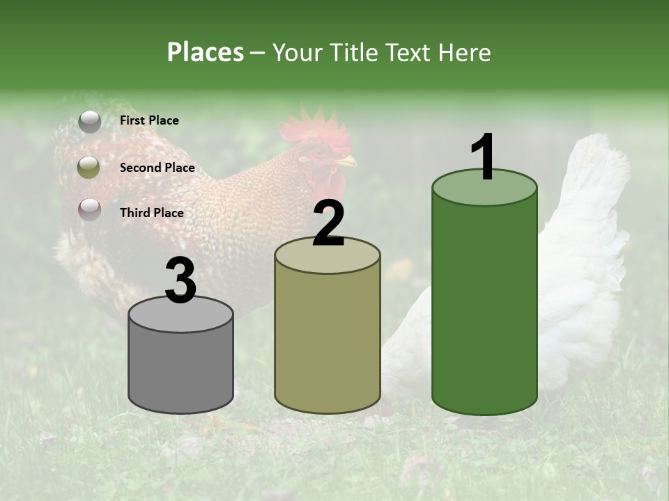 Claw Colorful Crest PowerPoint Template