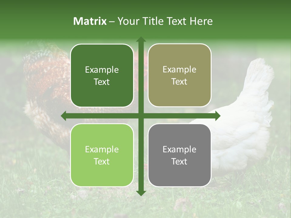 Claw Colorful Crest PowerPoint Template