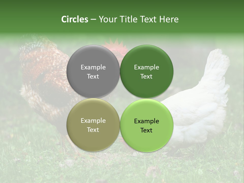 Claw Colorful Crest PowerPoint Template