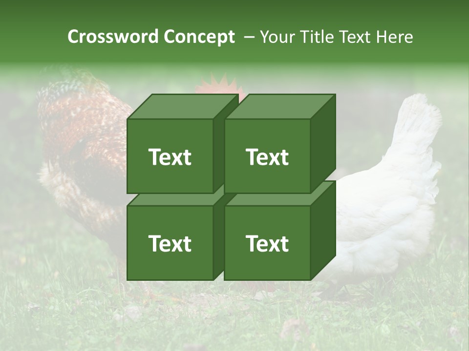 Claw Colorful Crest PowerPoint Template