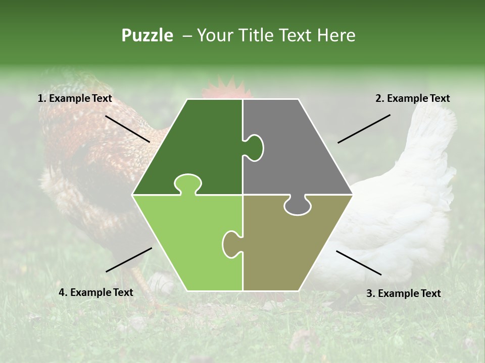 Claw Colorful Crest PowerPoint Template