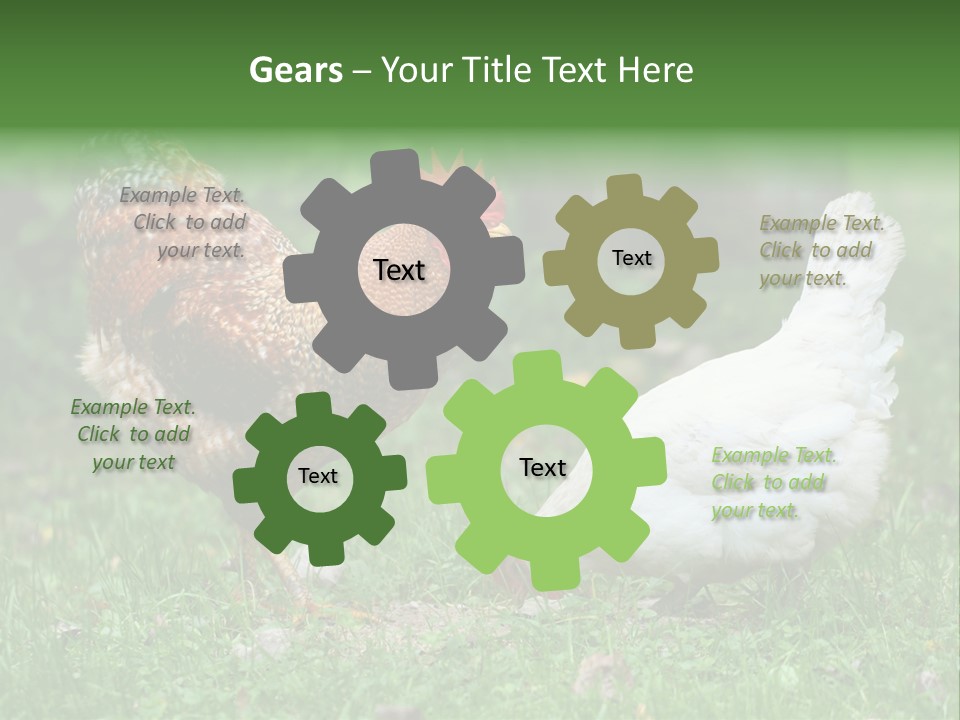 Claw Colorful Crest PowerPoint Template