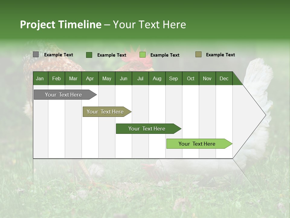 Claw Colorful Crest PowerPoint Template