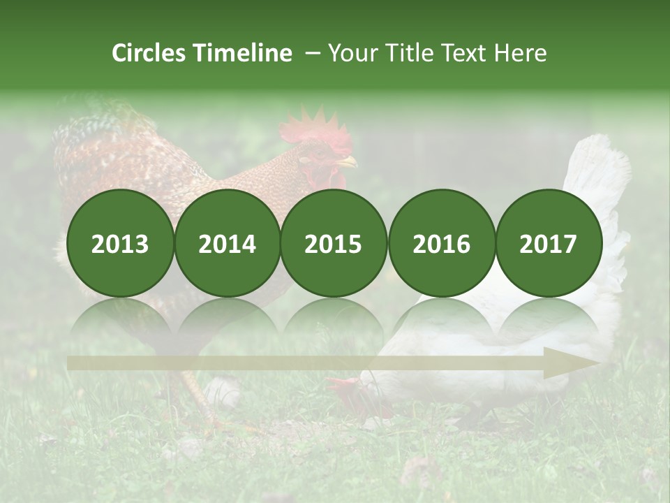 Claw Colorful Crest PowerPoint Template