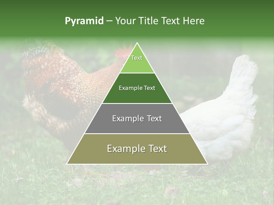 Claw Colorful Crest PowerPoint Template