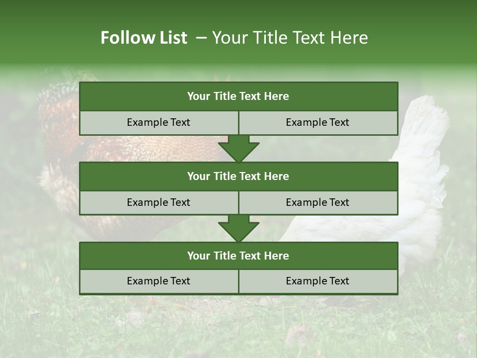 Claw Colorful Crest PowerPoint Template