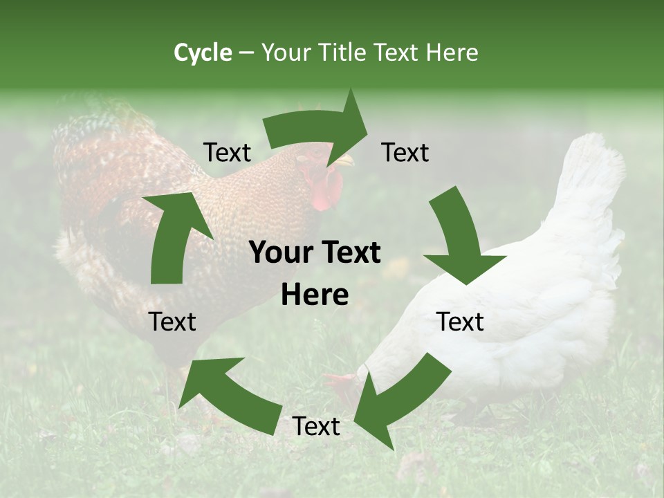 Claw Colorful Crest PowerPoint Template