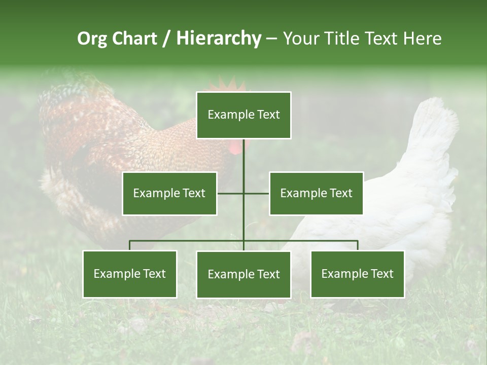 Claw Colorful Crest PowerPoint Template
