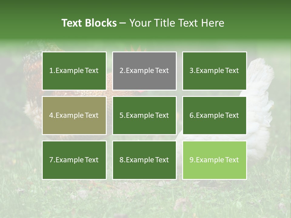 Claw Colorful Crest PowerPoint Template