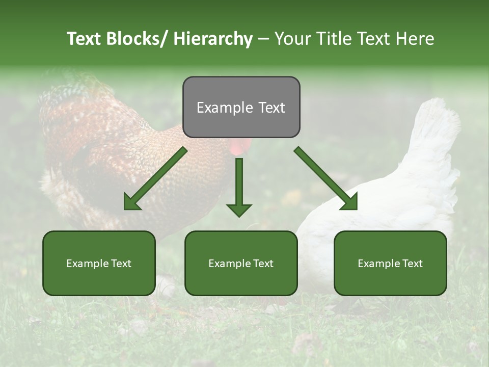 Claw Colorful Crest PowerPoint Template