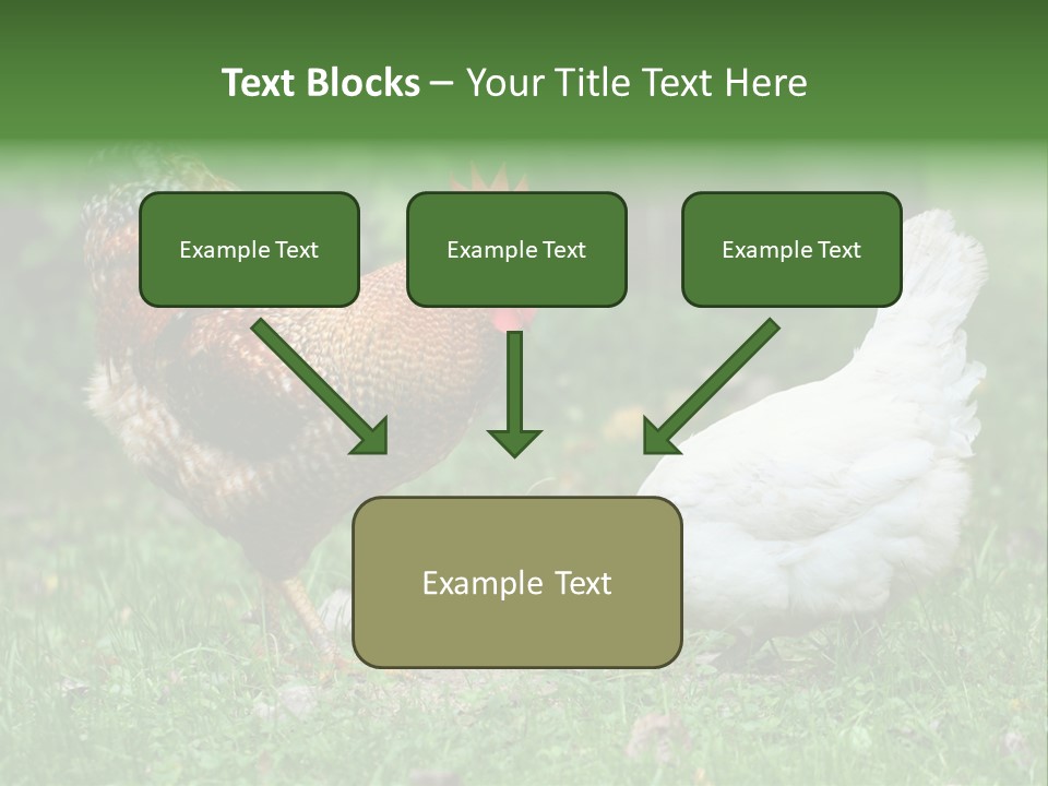 Claw Colorful Crest PowerPoint Template