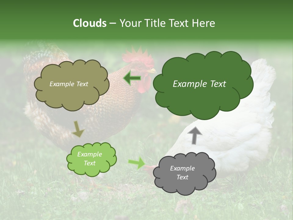 Claw Colorful Crest PowerPoint Template