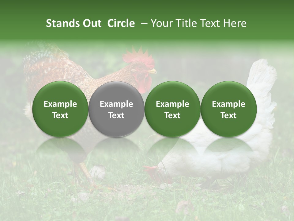 Claw Colorful Crest PowerPoint Template