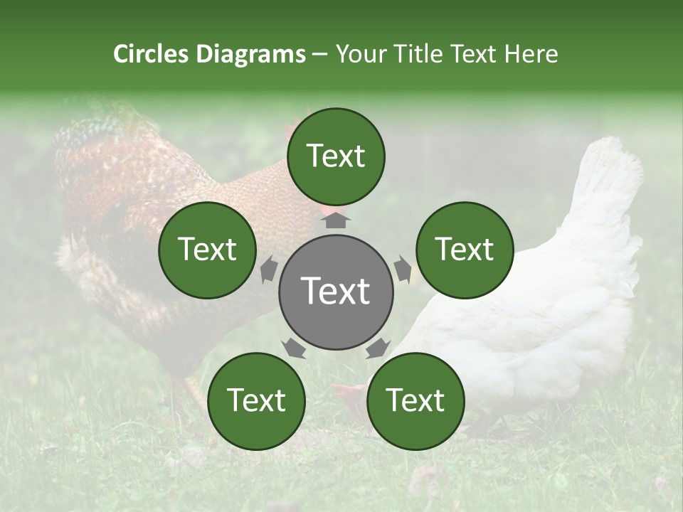 Claw Colorful Crest PowerPoint Template