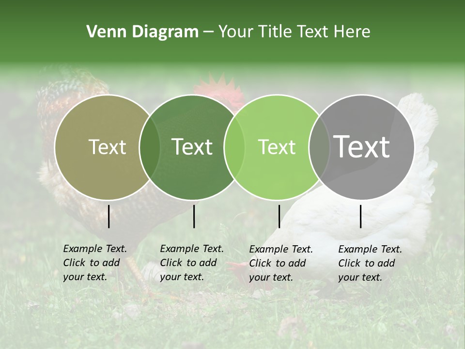 Claw Colorful Crest PowerPoint Template