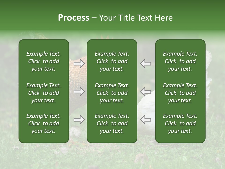 Claw Colorful Crest PowerPoint Template