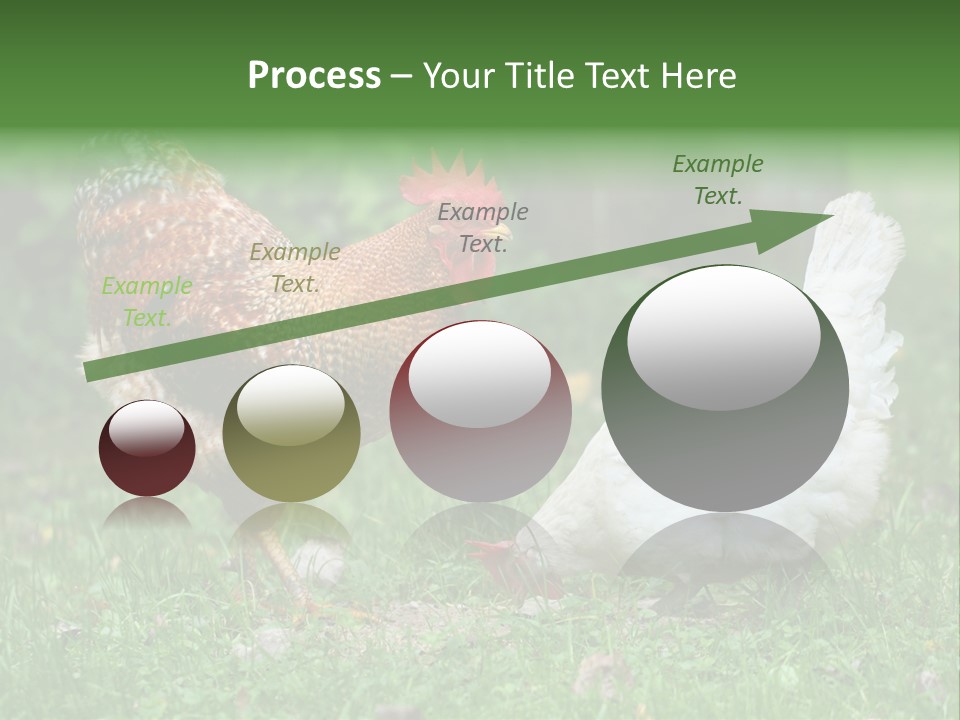 Claw Colorful Crest PowerPoint Template