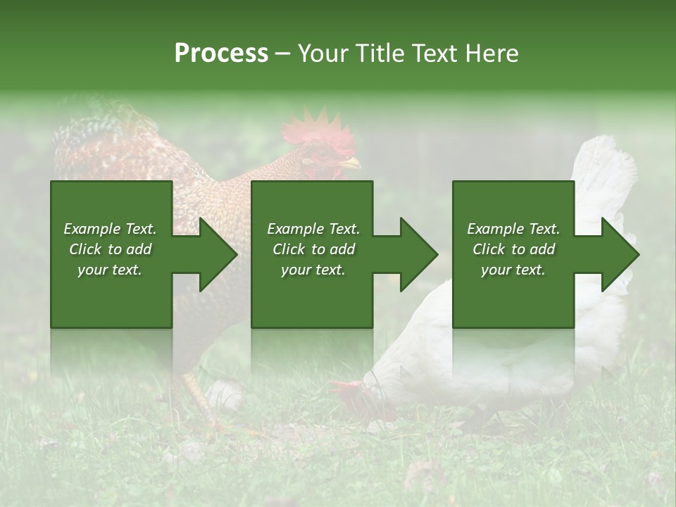 Claw Colorful Crest PowerPoint Template