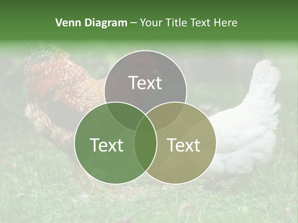 Claw Colorful Crest PowerPoint Template