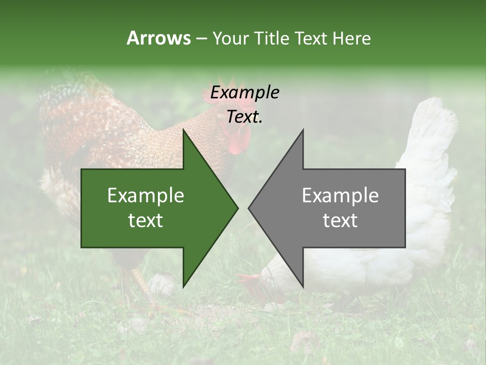 Claw Colorful Crest PowerPoint Template