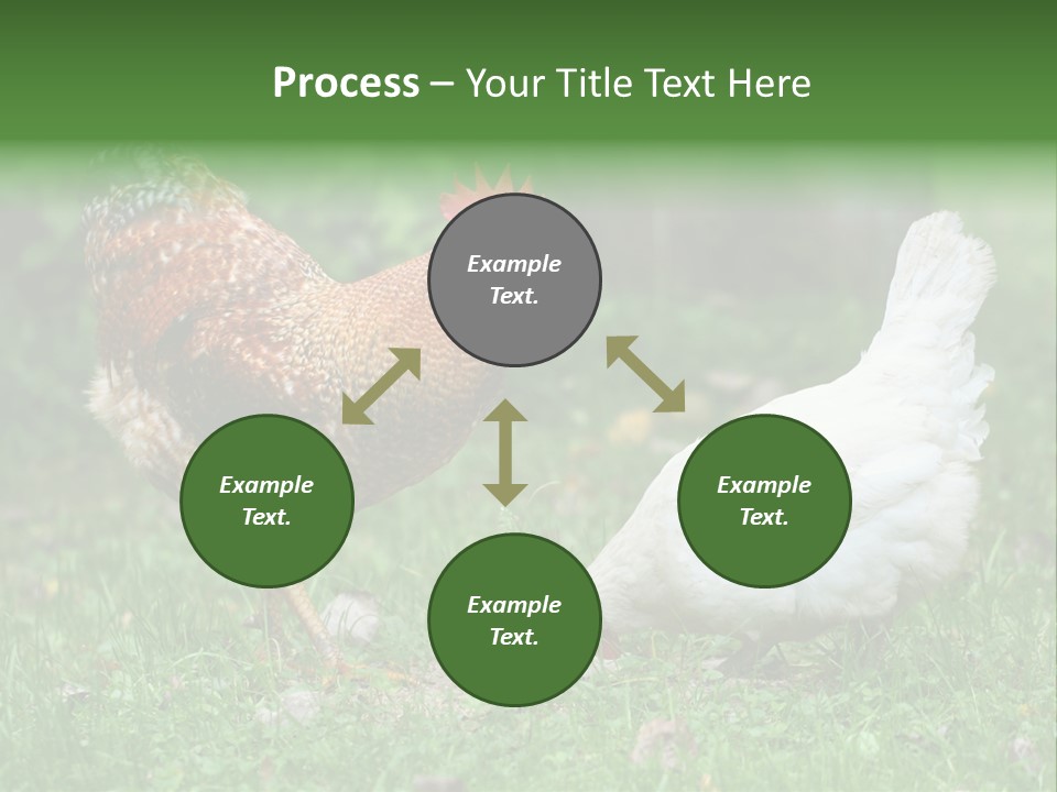 Claw Colorful Crest PowerPoint Template