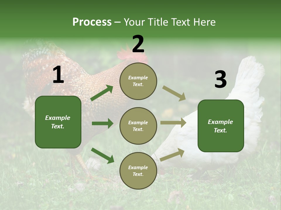 Claw Colorful Crest PowerPoint Template
