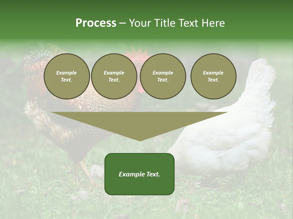 Claw Colorful Crest PowerPoint Template