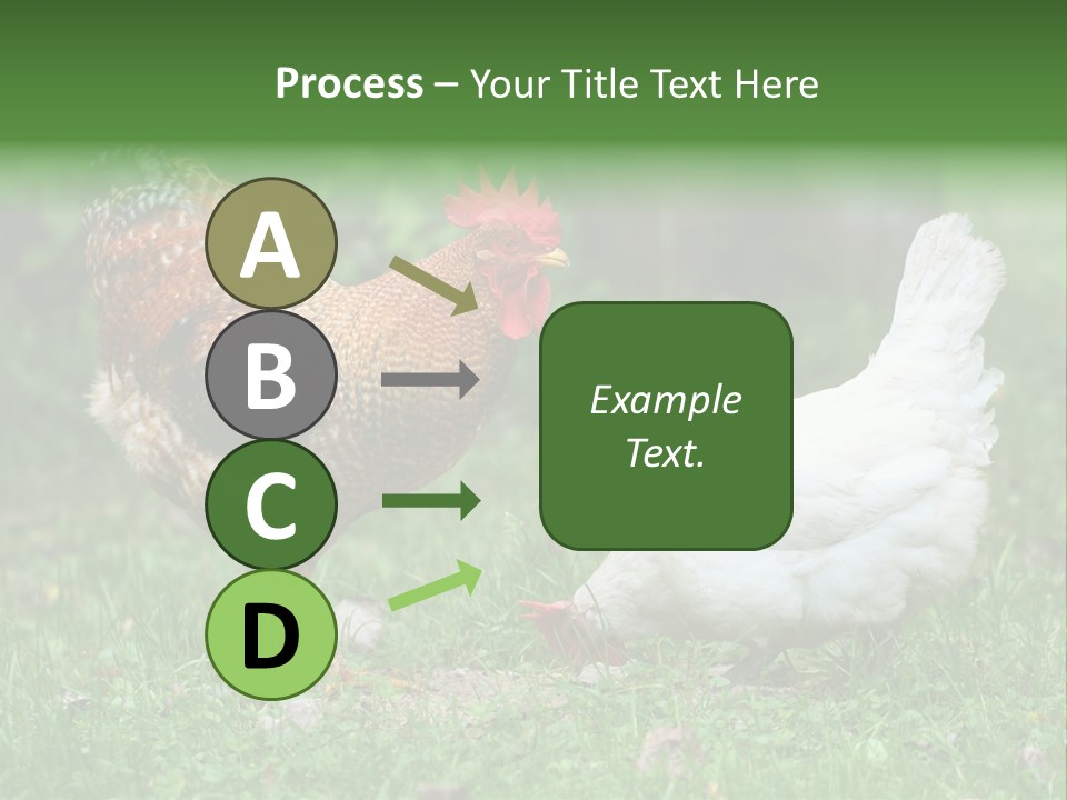 Claw Colorful Crest PowerPoint Template