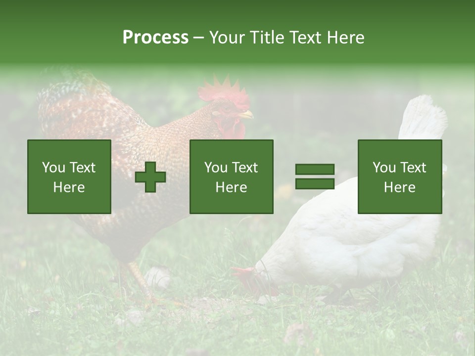 Claw Colorful Crest PowerPoint Template