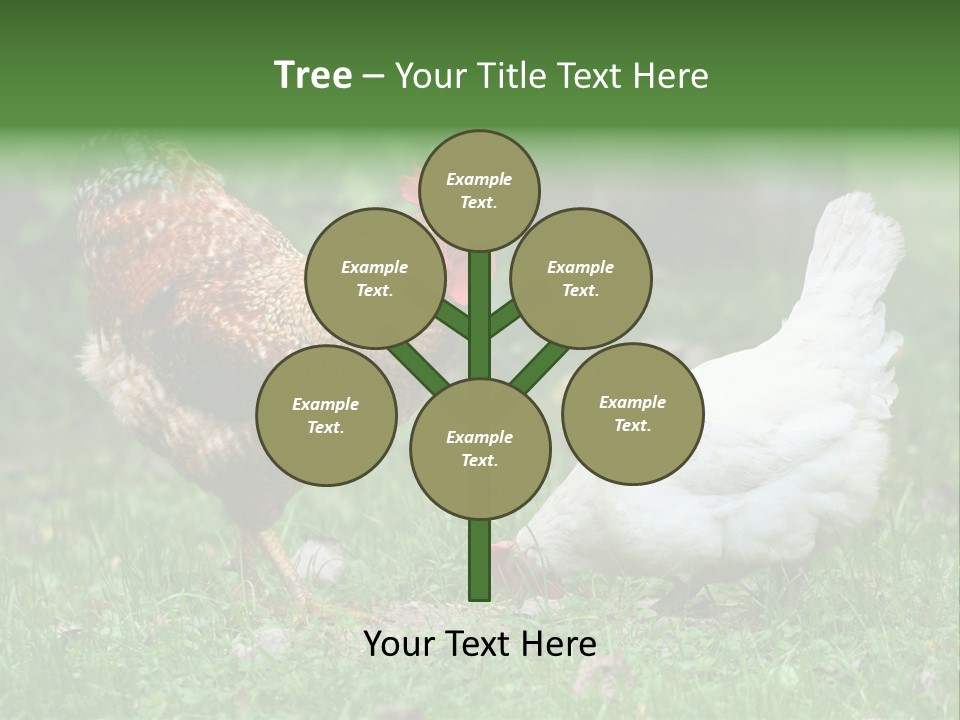 Claw Colorful Crest PowerPoint Template