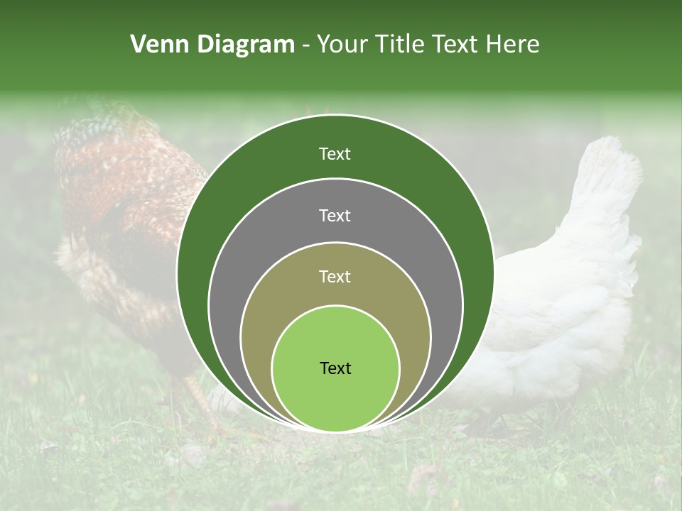 Claw Colorful Crest PowerPoint Template