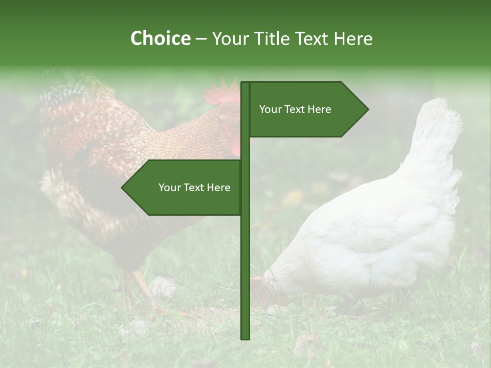 Claw Colorful Crest PowerPoint Template