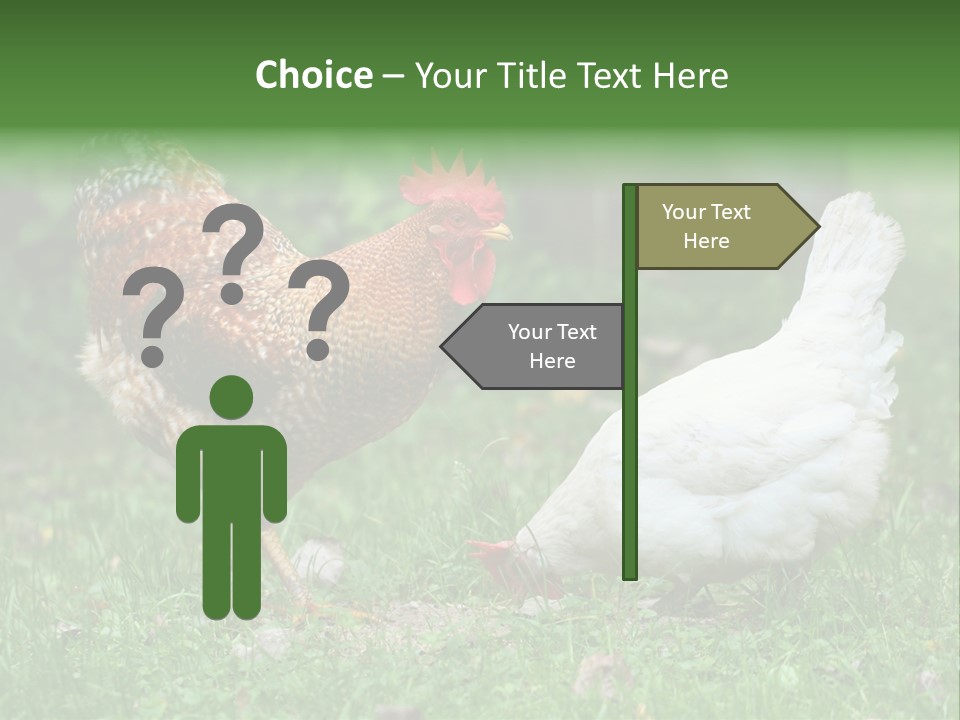 Claw Colorful Crest PowerPoint Template