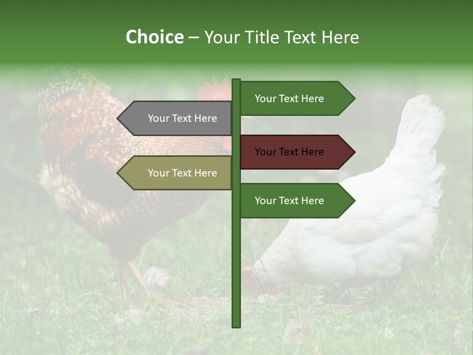 Claw Colorful Crest PowerPoint Template