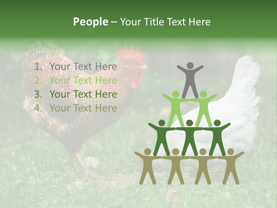 Claw Colorful Crest PowerPoint Template