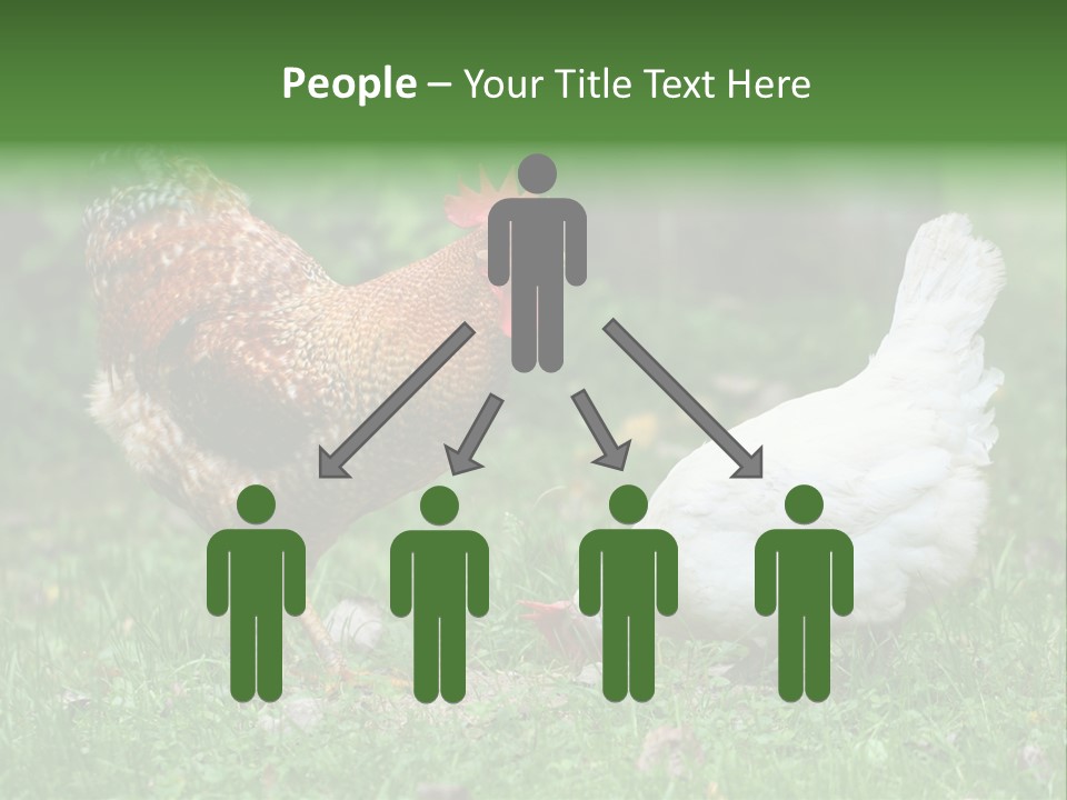 Claw Colorful Crest PowerPoint Template