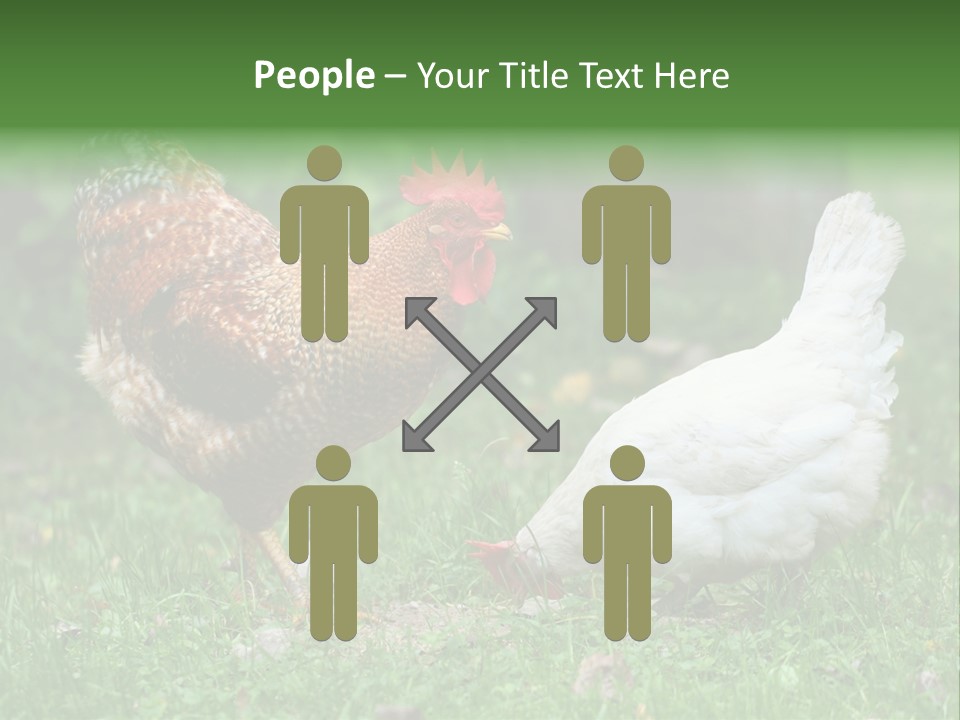 Claw Colorful Crest PowerPoint Template