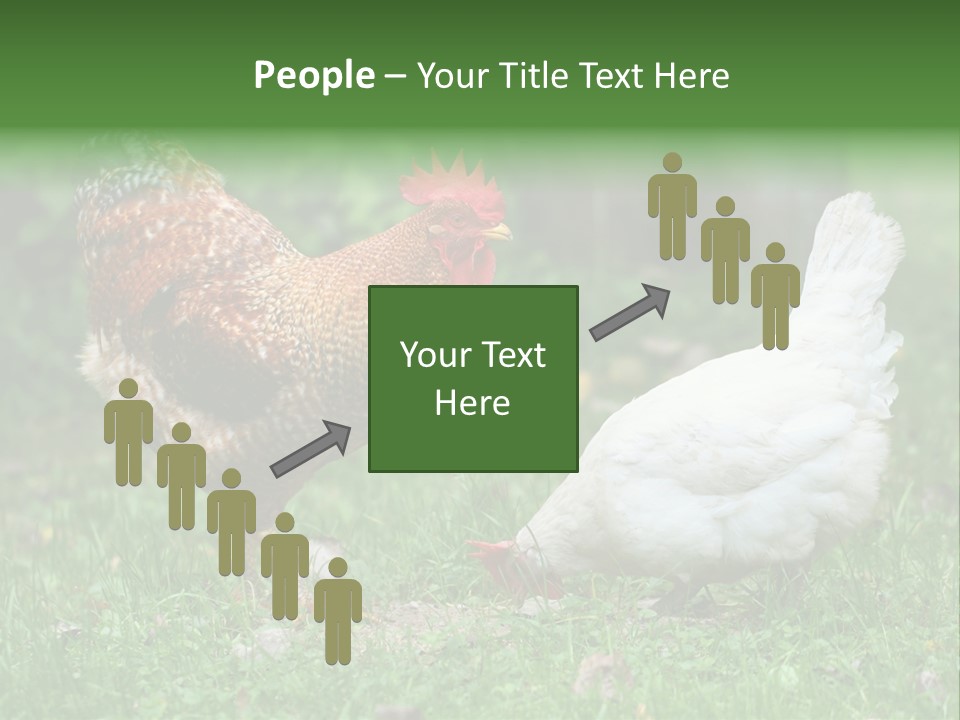 Claw Colorful Crest PowerPoint Template