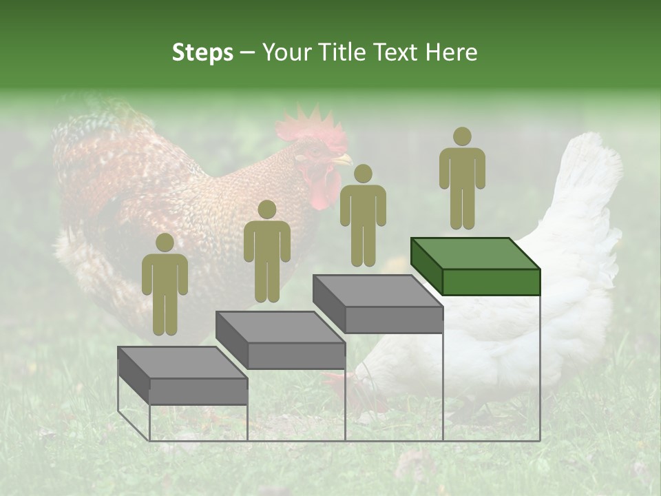 Claw Colorful Crest PowerPoint Template