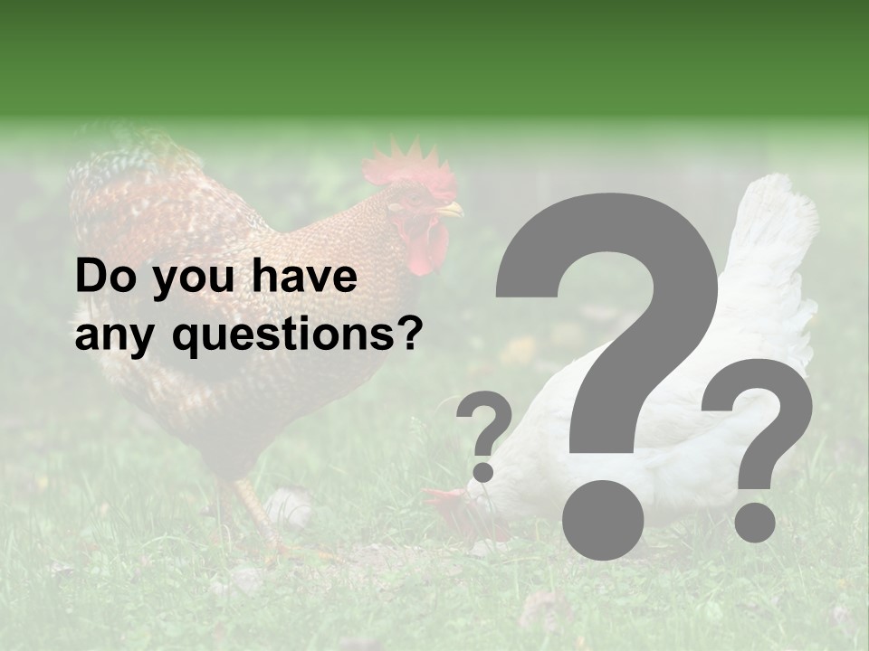 Claw Colorful Crest PowerPoint Template