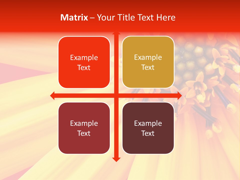 Head Petal Sun PowerPoint Template