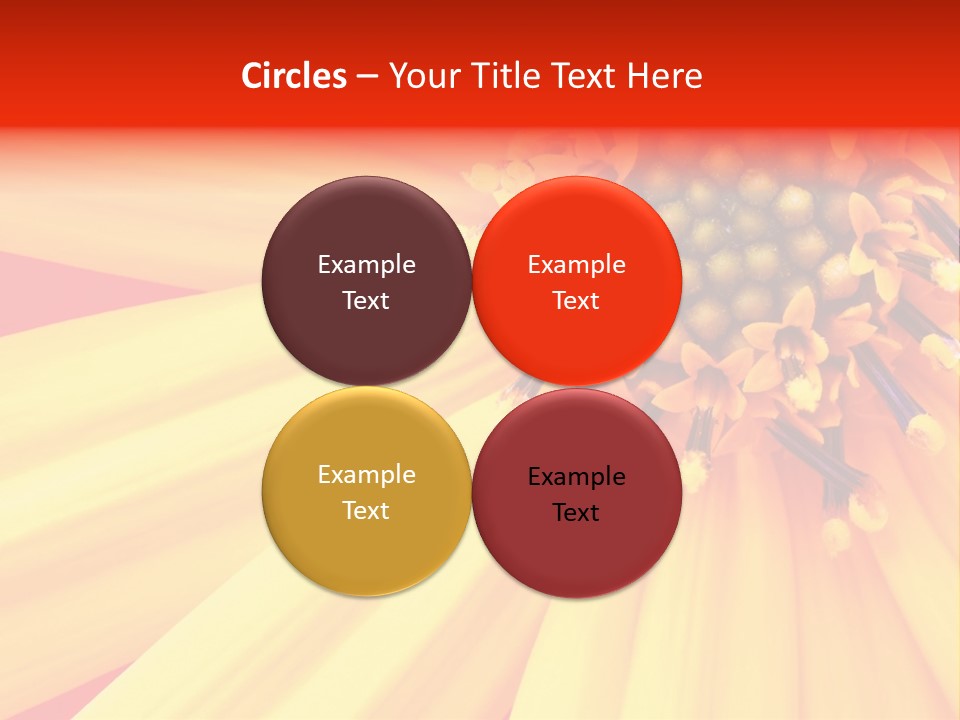 Head Petal Sun PowerPoint Template