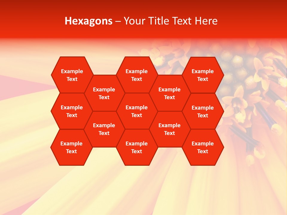 Head Petal Sun PowerPoint Template