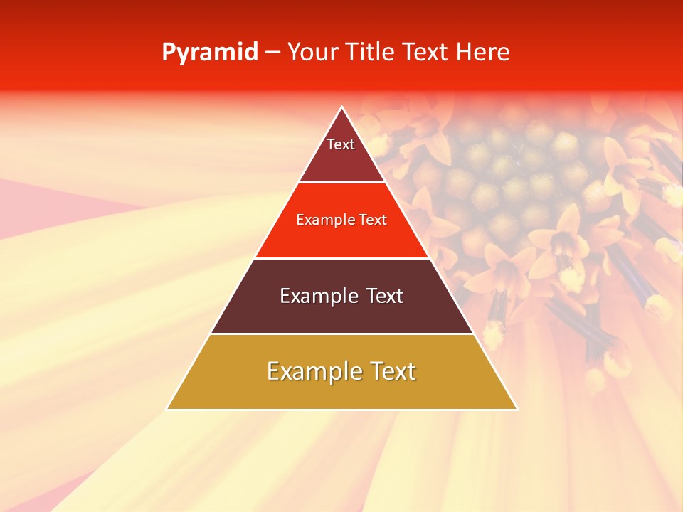 Head Petal Sun PowerPoint Template