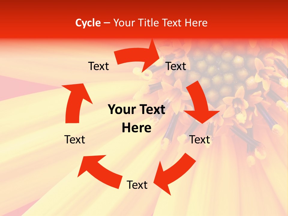 Head Petal Sun PowerPoint Template