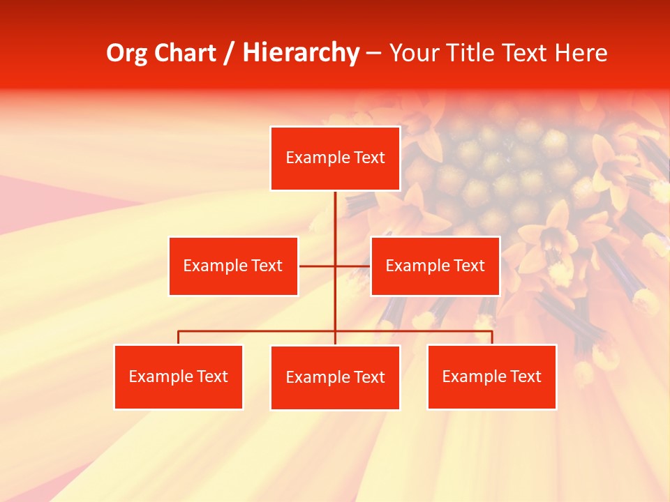 Head Petal Sun PowerPoint Template