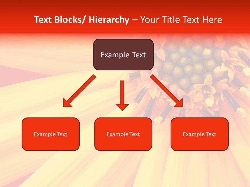 Head Petal Sun PowerPoint Template