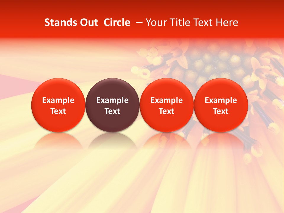 Head Petal Sun PowerPoint Template